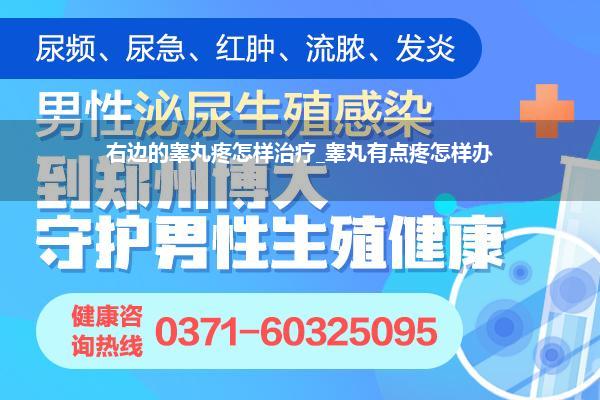 右边的睾丸疼怎样治疗_睾丸有点疼怎样办