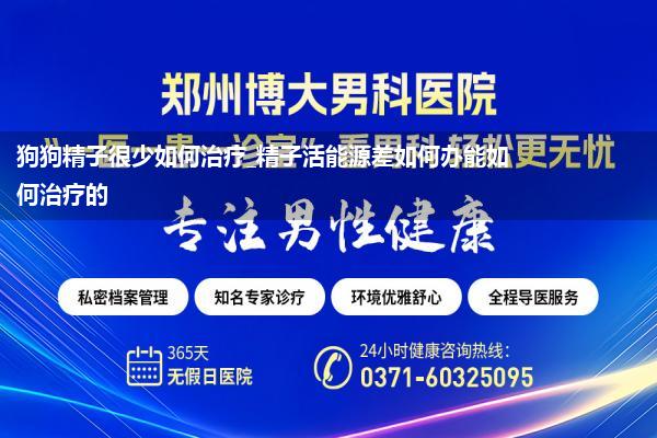 狗狗精子很少如何治疗_精子活能源差如何办能如何治疗的