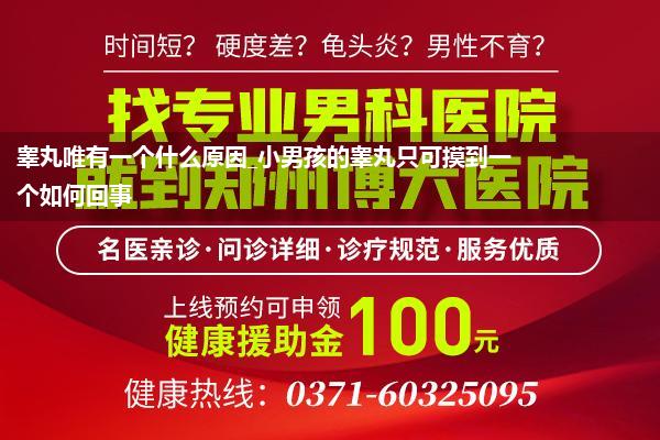 睾丸唯有一个什么原因_小男孩的睾丸只可摸到一个如何回事
