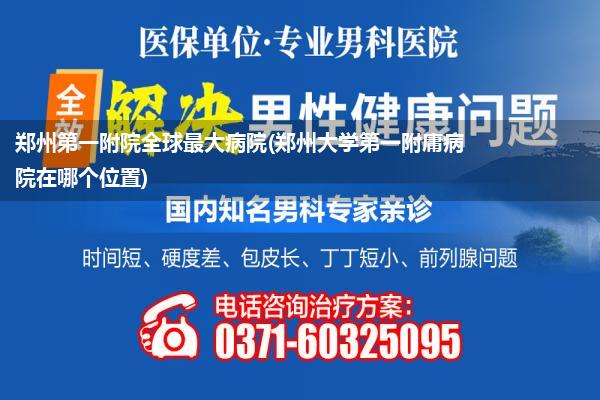 郑州第一附院全球最大病院(郑州大学第一附庸病院在哪个位置)
