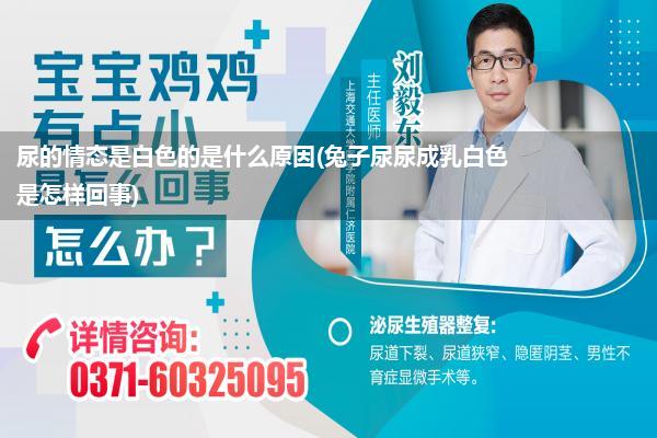 尿的情态是白色的是什么原因(兔子尿尿成乳白色是怎样回事)