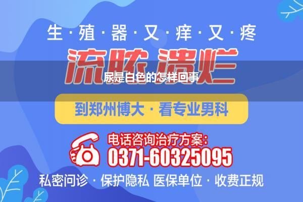 尿的情态是白色的是什么原因(兔子尿尿成乳白色是怎样回事)