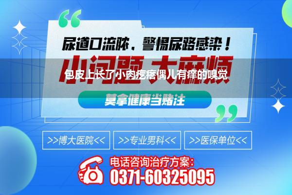 包皮上长了小肉疙瘩偶儿有痒的嗅觉