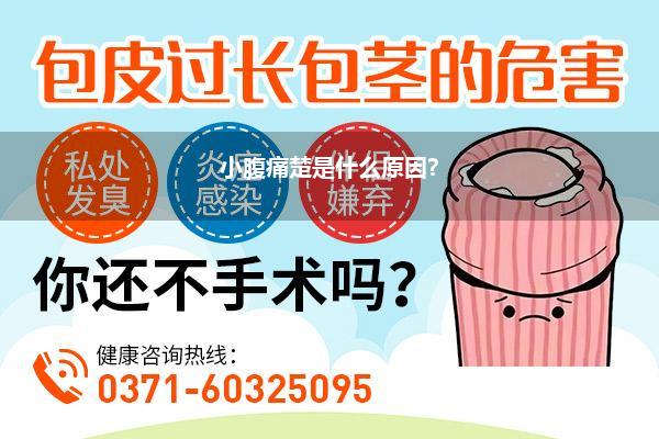 小腹痛楚是什么原因?