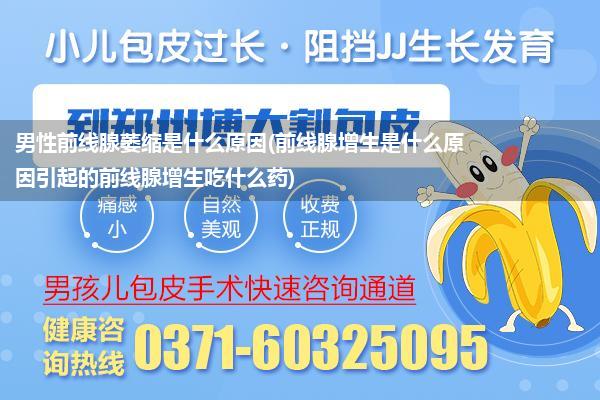 男性前线腺萎缩是什么原因(前线腺增生是什么原因引起的前线腺增生吃什么药)