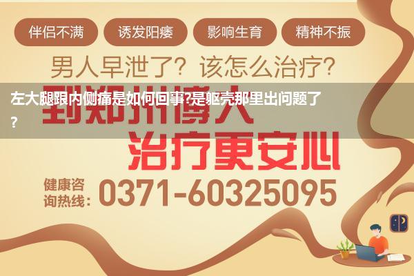 左大腿跟内侧痛是如何回事?是躯壳那里出问题了?