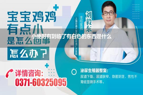 小便时有到临了有白色的东西是什么