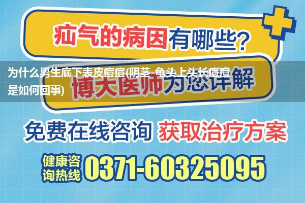 为什么男生底下表皮痘痘(阴茎-龟头上头长痘痘是如何回事)