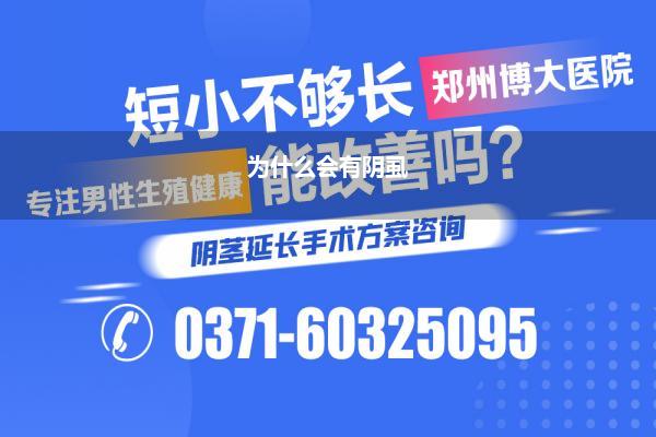 为什么会有阴虱