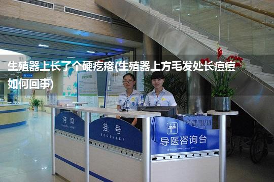 生殖器上长了个硬疙瘩(生殖器上方毛发处长痘痘如何回事)