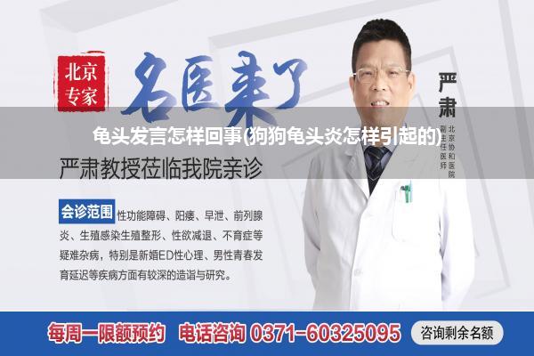 龟头发言怎样回事(狗狗龟头炎怎样引起的)