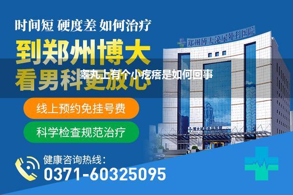 睾丸上有个小疙瘩是如何回事
