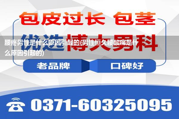 腰疼男性是什么原因引起的(男性恒久腰酸痛是什么原因引起的)