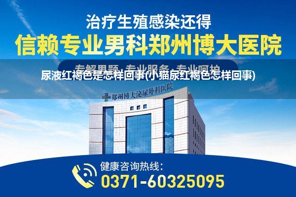 尿液红褐色是怎样回事(小猫尿红褐色怎样回事)