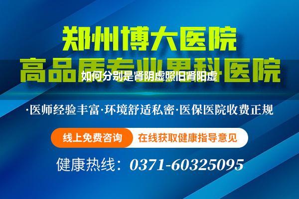 如何分别是肾阴虚照旧肾阳虚