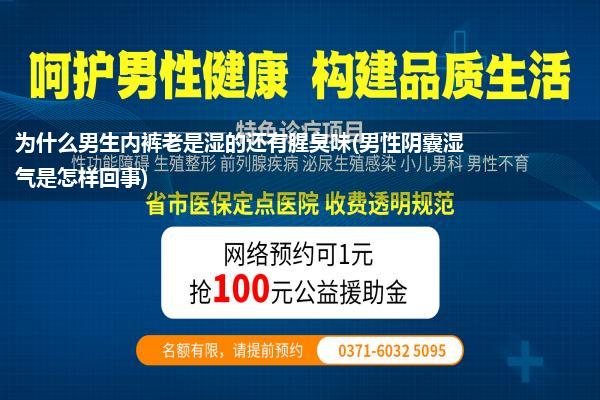 为什么男生内裤老是湿的还有腥臭味(男性阴囊湿气是怎样回事)