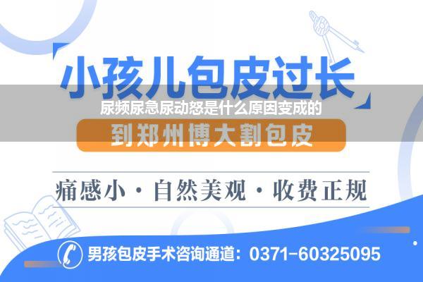尿频尿急尿动怒是什么原因变成的