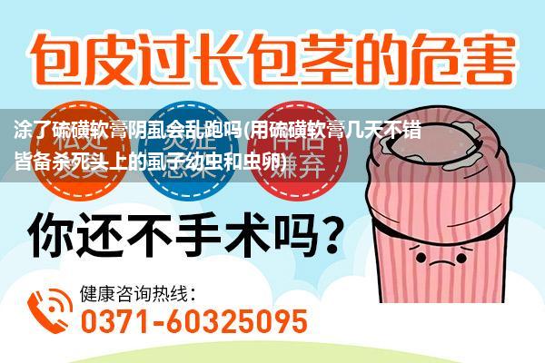 涂了硫磺软膏阴虱会乱跑吗(用硫磺软膏几天不错皆备杀死头上的虱子幼虫和虫卵)