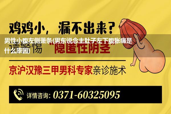 男性小腹左侧萧条(男东说念主肚子左下腹胀痛是什么原因)