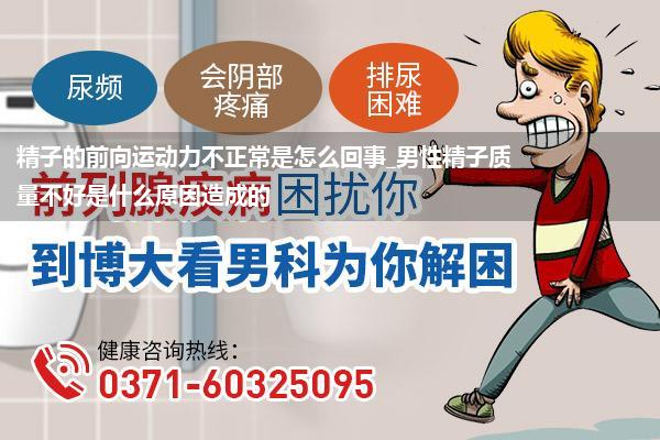 精子的前向运动力不正常是怎么回事_男性精子质量不好是什么原因造成的