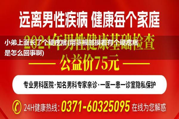 小弟上面长了个硬疙瘩(阴茎根部摸着有个硬疙瘩是怎么回事啊)