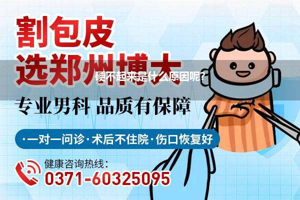 硬不起来是什么原因呢?