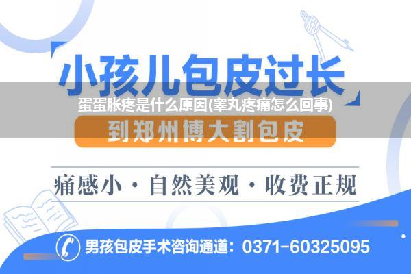 蛋蛋胀疼是什么原因(睾丸疼痛怎么回事)