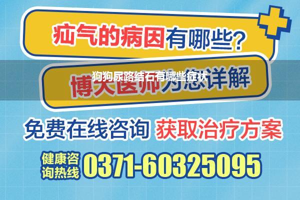 狗狗尿路结石有哪些症状