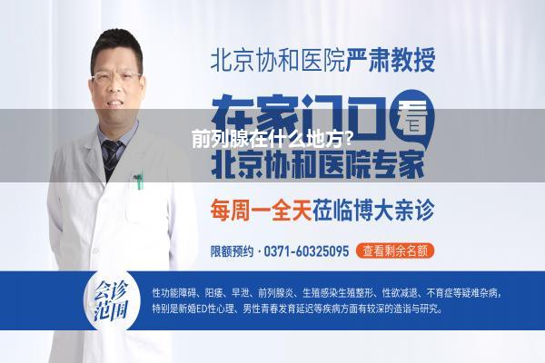 前列腺在什么地方?