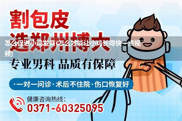 怎么促进小鸡发育(怎么才能让小鸡长得快一点视频)
