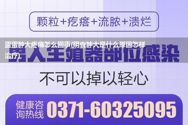 蛋蛋肿大疼痛怎么回事(阴囊肿大是什么原因怎样治疗)