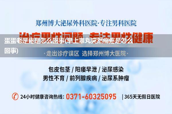蛋蛋老是疼是怎么回事(早上睾丸突然痛疼是怎么回事)